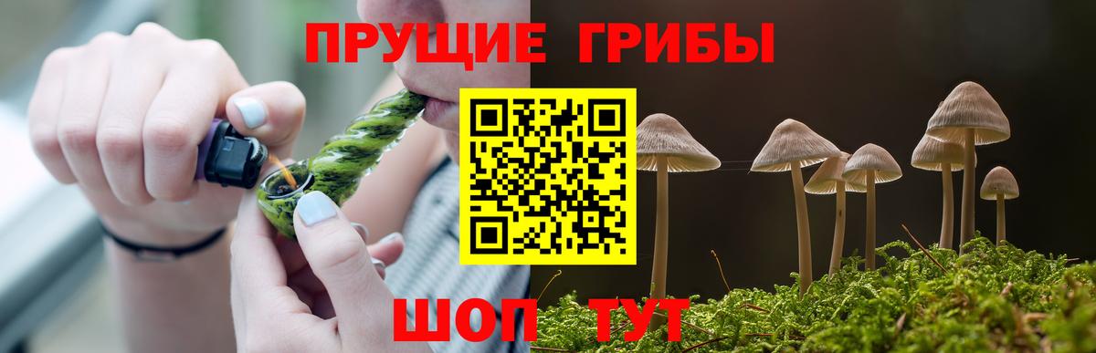 Донской  Галлюциногенные грибы Magic Shrooms  Псилоцибиновые грибы Psilocybine cubensis  Вход с VPN 